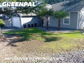 Lawn mowed in Federal Way, 98023