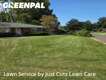 Yard Cuttingin Belleville,62223,Lawn Maintenance by Just Cuts Lawn Care, work completed in Jan , 2026