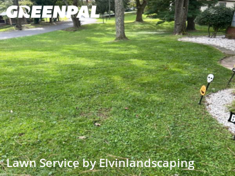 Lawn Cutting in Parkville, 21234, Lawn Mowing by Elvinlandscaping, work completed in Oct , 2025