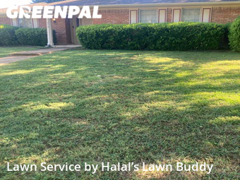 Lawn Cut nearby De Soto, TX, 