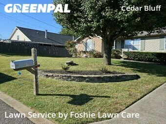 Lawn Mowing nearby Nashville, TN, 