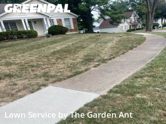 Lawn Mowingin Chesterfield,63005,Yard Mowing by The Garden Ant , work completed in Dec , 2025