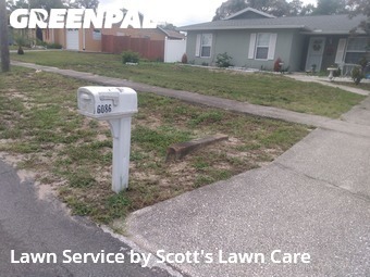 Lawn Cut nearby Spring Hill, FL, 