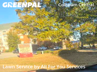 Grass Cut nearby Hampton, VA, 