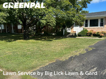 Grass Cut nearby Roanoke, VA, 