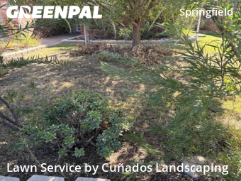 Lawn Cutting nearby Lubbock, TX, 