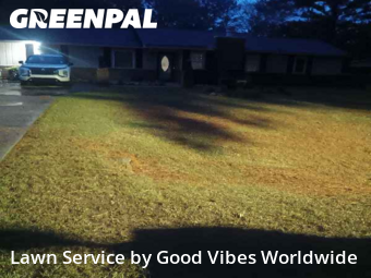 Lawn Management in Albany, 31721, Yard Services by Good Vibes Worldwide, work completed in Nov , 2025
