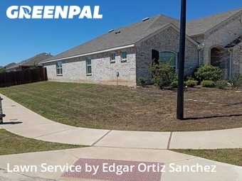 Lawn Cut nearby Princeton, TX, 