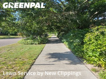 Lawn Mow nearby Clearwater, FL, 