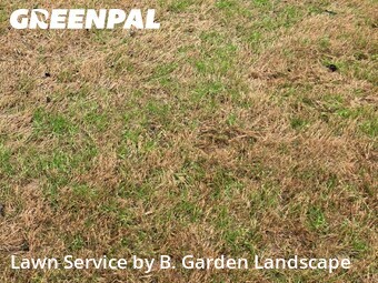 Yard Mowing nearby Flowery Branch, GA, 