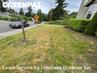 Grass Cut nearby Seattle, WA, 