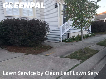 Grass Cut nearby New Orleans, LA, 