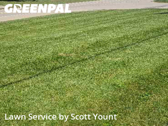 Yard Cutting nearby Freeport, IL, 
