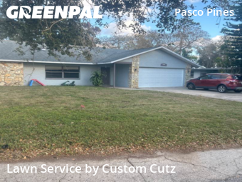 Lawn mowed in Holiday, 34690