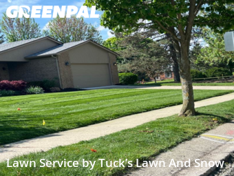 Lawn Mow nearby Novi, MI, 