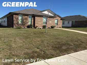 Landscaping Maintenance In Lancaster,75134,Landscapers by Top Lawn Carr, work completed in Nov , 2025