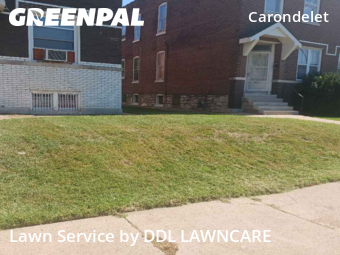 Lawn Care nearby St. Louis, MO, 