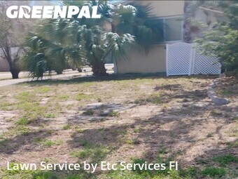 Grass Cutin Dunedin,34698,Yard Cutting by Etc Services Fl, work completed in Jun , 2026