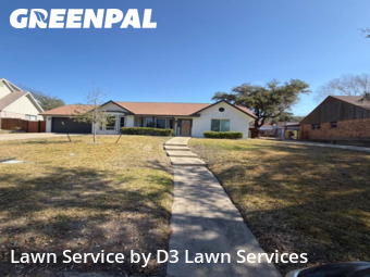 Grass Cut nearby Castle Hills, TX, 