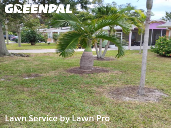 Lawn Work in Englewood, 34223, Yard Upkeep by Lawn Pro, work completed in Dec , 2025