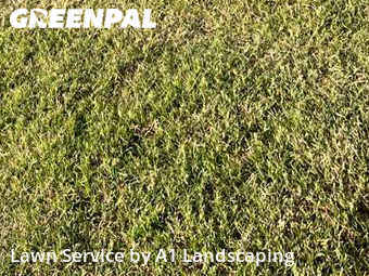 Grass Cutting nearby Springdale, AR, 