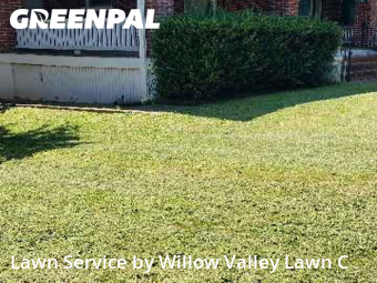 Lawn Cutin Roanoke,24016,Lawn Cutting by Willow Valley Lawn C, work completed in Feb , 2026
