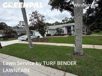 Lawn Cut nearby Palm Harbor, FL, 