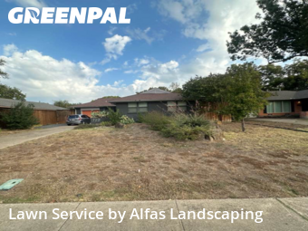 Lawn Cutin Richardson,75080,Grass Cutting by Alfas Landscaping, work completed in Feb , 2026