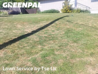 Lawn Cut nearby Bothell, WA, 