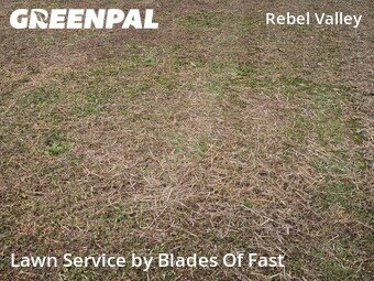 Lawn Cut nearby Atlanta, GA, 