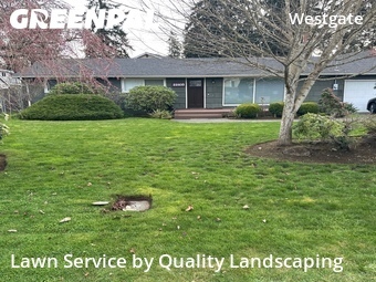 Yard Cutting nearby Edmonds, WA, 