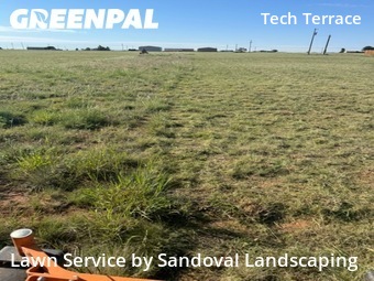 Yard Cutting nearby Lubbock, TX, 