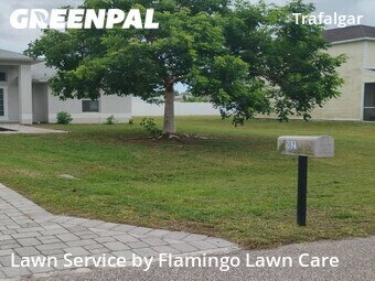 Lawn Mowing Service nearby Cape Coral, FL, 