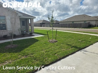 Grass Cut nearby Corpus Christi, TX, 