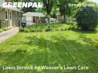 Lawn Cut nearby Beech Grove, IN, 