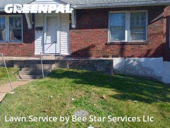 Backyard Mowing in St. Louis, 63133, Yard Mowing by Bee Star Services Llc, work completed in Nov , 2025