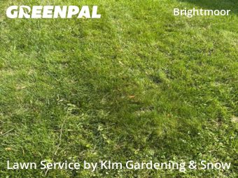 Lawn Care nearby Detroit, MI, 