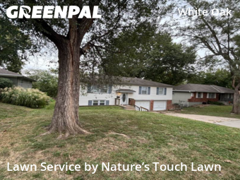 Lawn Care nearby Raytown, MO, 