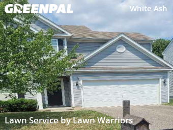 Lawn Maintenance nearby Canal Winchester, OH, 