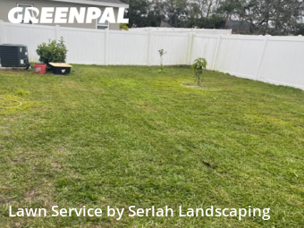 Yard Cutting nearby Okahumpka, FL, 