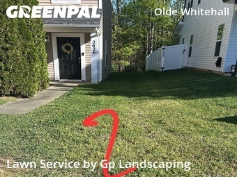 Yard Cutting nearby Charlotte, NC, 