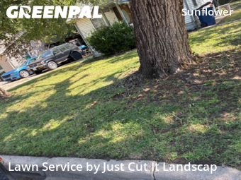 Grass Cutting nearby Wichita, KS, 