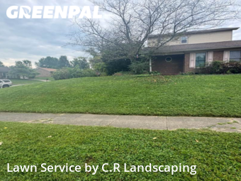 Grass Cut nearby Lexington, KY, 