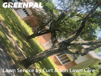 Yard Grooming in Bethlehem, 18017, Grass Services by Curt & Son Lawn Care, work completed in Nov , 2025