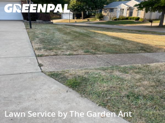 Yard Mowingin Ballwin,63021,Grass Cut by The Garden Ant , work completed in Nov , 2025