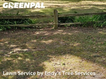 Lawn Care nearby Spring Lake, MI, 