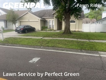 Yard Cutting nearby Tampa, FL, 