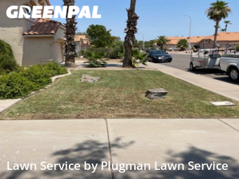 Grass Cut nearby Chandler, AZ, 