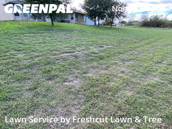 Lawn Care nearby Schertz, TX, 
