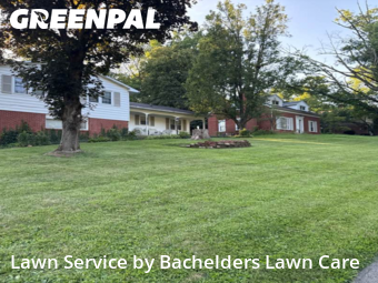 Lawn Mow nearby Mansfield, OH, 
